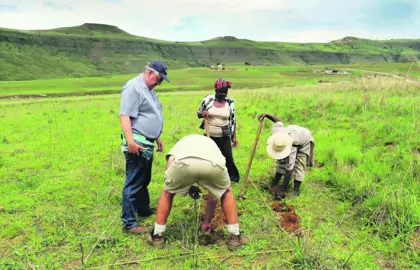 Practical learning in an open field