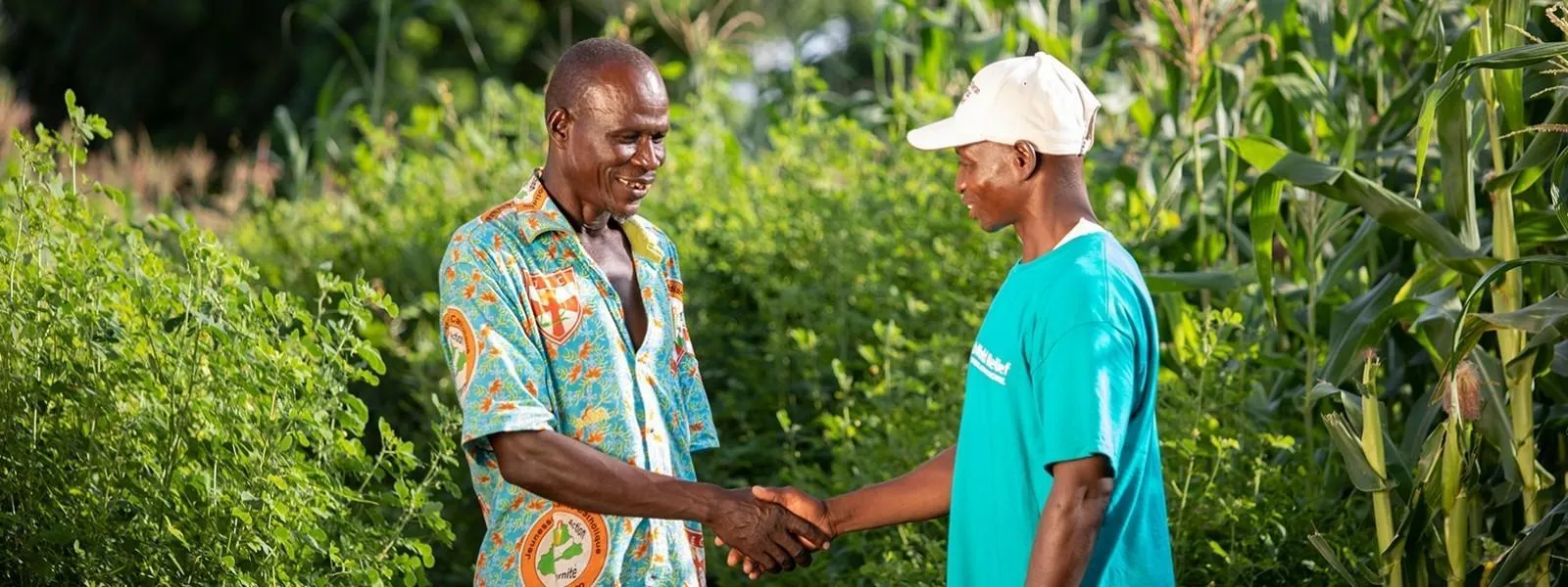 Farmers connecting in the field