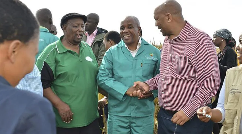 Agricultural partners discussing opportunity