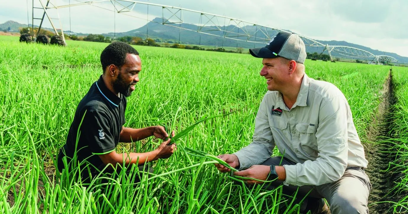 Agricultural mentors sharing knowledge in a green field