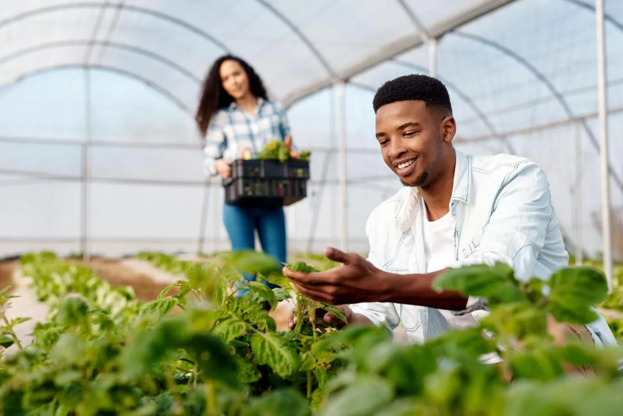 Young farmers growing greenhouse crops