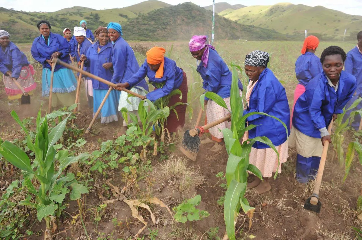 Community collaboration in a field