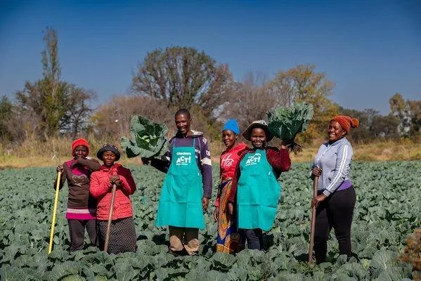 Rural community agricultural participants