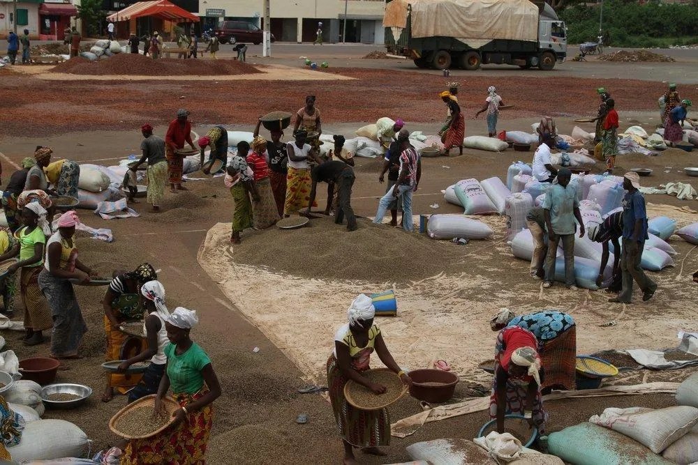 Rural agricultural market