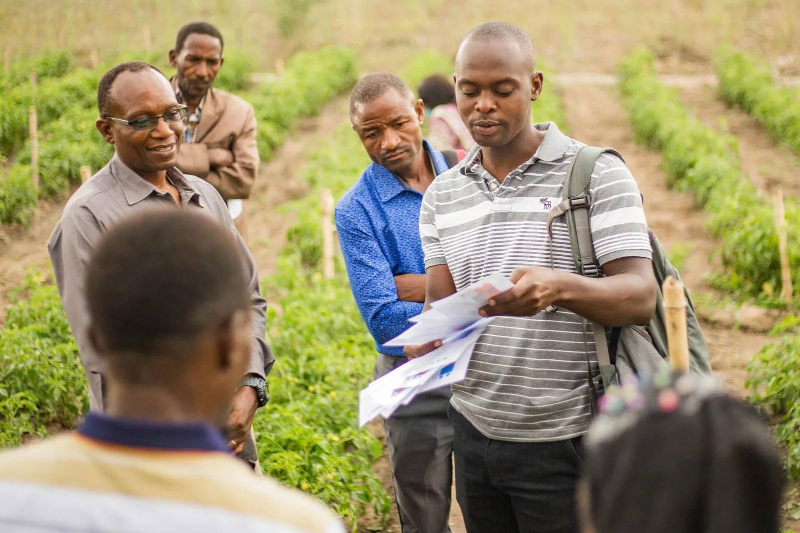 Agricultural stakeholders sharing knowledge